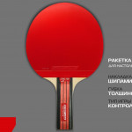 Теннисная ракетка Start line Level 200 New (прямая) 12306